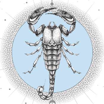 Scorpio Weekly Horoscope