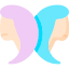 Gemini Traits