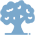 Wish Tree