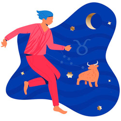 Taurus Man Taurus Man