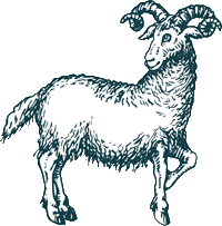 Aries