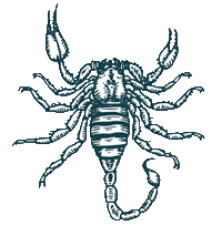 Scorpio