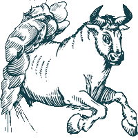 Taurus