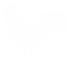 Rooster