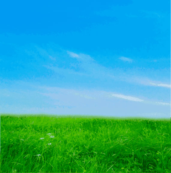 Daisy Love Oracle Free Readings 1001Horoscopes