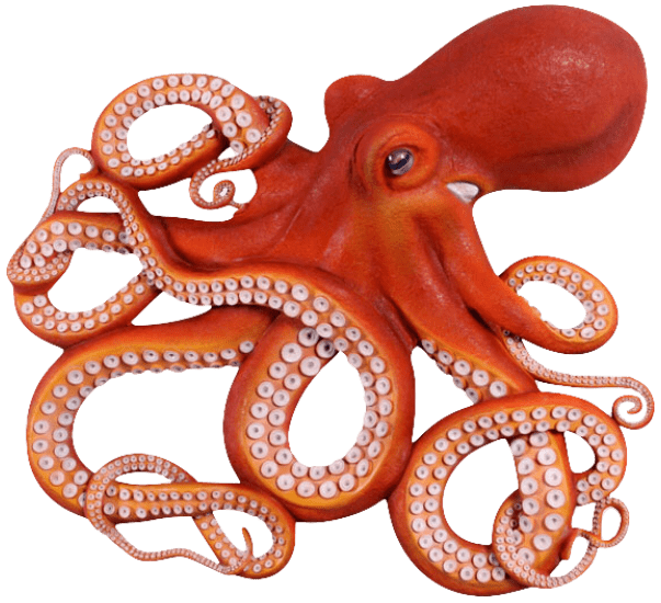 Octopus the Predictor Online Readings 1001Horoscopes