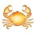 Cancer zodiac icon