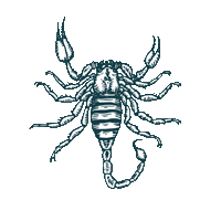 Scorpio