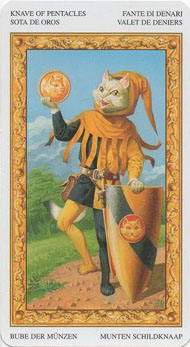 Page of Pentacles in the deck Tarot of White Cats