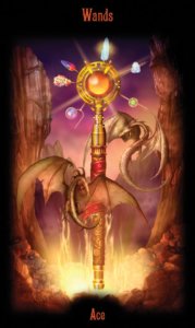 Ace of Wands in the deck Legacy of the Divine Tarot