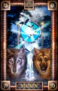 The Moon in the deck Tarot of Dreams Ciro Marchetti