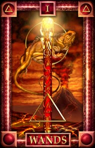 Ace of Wands in the deck Tarot of Dreams Ciro Marchetti