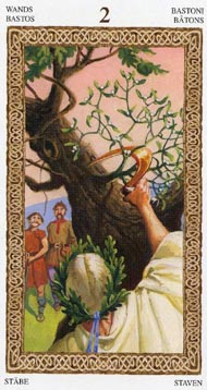 Two of Wands in the deck Tarot of the Druids