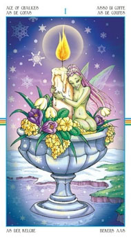 Ace of Cups in the deck Wheel of the Year Tarot