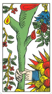 Ace of Wands in the deck Tarot de Marseilles