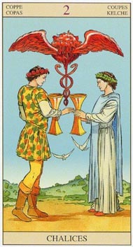 Two of Cups in the deck New Vision Tarot