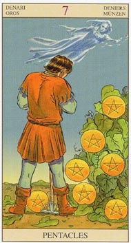 Seven of Pentacles in the deck New Vision Tarot