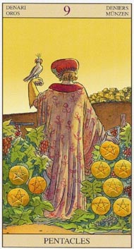 Nine of Pentacles in the deck New Vision Tarot