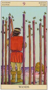 Nine of Wands in the deck New Vision Tarot