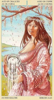 Ace of Cups in the deck Universal Goddess Tarot