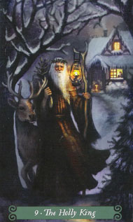 The Hermit in the deck Green Witch Tarot