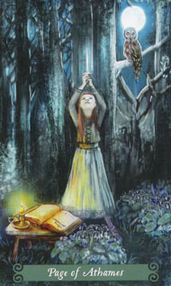 Page of Swords in the deck Green Witch Tarot