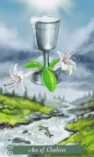 Ace of Cups in the deck Green Witch Tarot