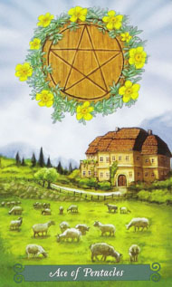 Ace of Pentacles in the deck Green Witch Tarot