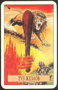 Ace of Wands in the deck Arcus Arcanum Tarot