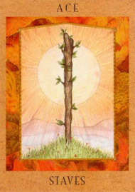 Ace of Wands in the deck Goddess Tarot