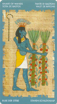 Page of Wands in the deck Tarot of Cleopatra