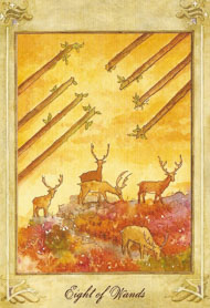 Eight of Wands in the deck Llewellyn Tarot