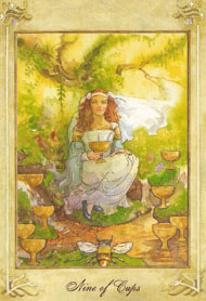 Nine of Cups in the deck Llewellyn Tarot