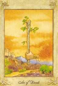 Ace of Wands in the deck Llewellyn Tarot