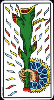 Ace of Wands in the deck Tarot de Marseille Jodorowsky-Camoin