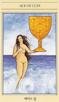 Ace of Cups in the deck The Mythic Tarot