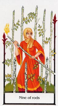 Nine of Wands in the deck Tarot of the Old Path