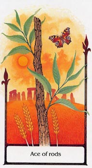 Ace of Wands in the deck Tarot of the Old Path