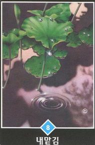 Eight of Cups in the deck Osho Zen Tarot