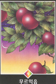 Nine of Pentacles in the deck Osho Zen Tarot