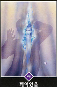 The Chariot in the deck Osho Zen Tarot