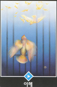 Page of Cups in the deck Osho Zen Tarot