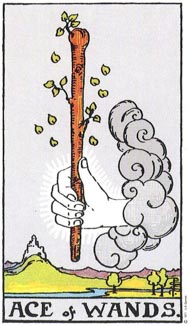 Ace of Wands in the deck Rider-Waite Tarot