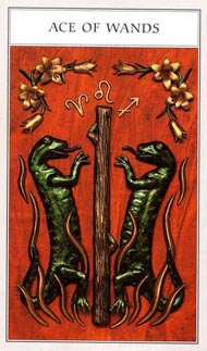 Ace of Wands in the deck Renaissance Tarot Modern