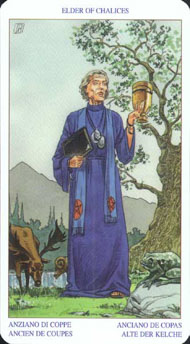 King of Cups in the deck Pagan Tarot