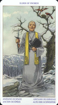 King of Swords in the deck Pagan Tarot