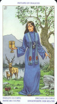 Queen of Cups in the deck Pagan Tarot