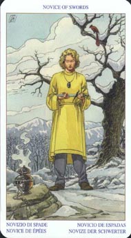 Page of Swords in the deck Pagan Tarot