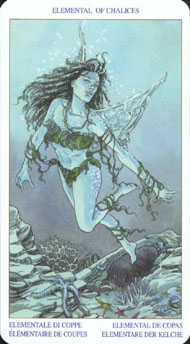 Knight of Cups in the deck Pagan Tarot