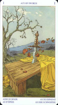 Ace of Swords in the deck Pagan Tarot